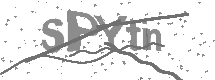 visual captcha